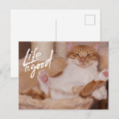 Life is Good Cute Funny Orange Cat  Briefkaart (Voorkant / Achterkant)