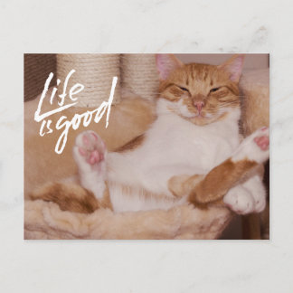 Life is Good Cute Funny Orange Cat  Briefkaart