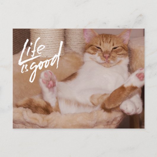 Life is Good Cute Funny Orange Cat  Briefkaart (Voorkant)