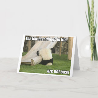 Life is Hard Panda greecard Kaart