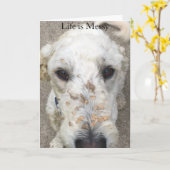 Life is Messy Cockleburs on a doodle card Kaart (Gele Bloem)