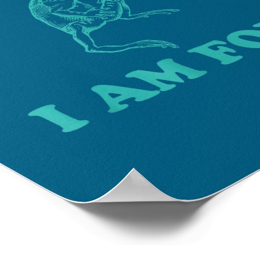 Life Is Soup I Am Fork Funny Frog  Poster (Hoek)