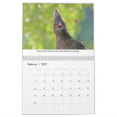Life Lessons Animal Calendar Kalender (Feb 2027)