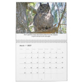 Life Lessons Animal Calendar Kalender (Mar 2027)