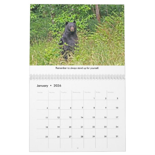 Life Lessons Animal Calendar Kalender (Jan 2026)
