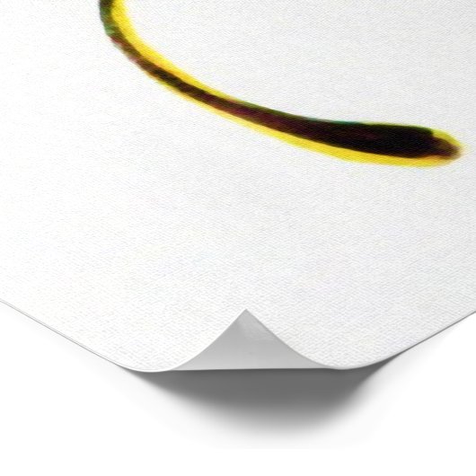 Life Magazine - De Flapper Poster (Hoek)