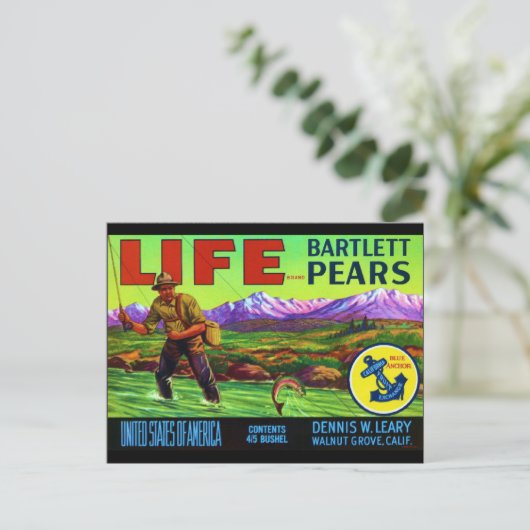 Life Pears Briefkaart (Staand voorkant)