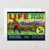 Life Pears Briefkaart (Voorkant / Achterkant)