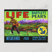 Life Pears Briefkaart (Voorkant)