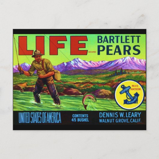 Life Pears Briefkaart (Voorkant)