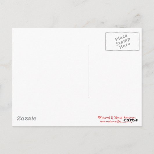 Life Quote gelukskoekje Briefkaart (Achterkant)