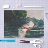 Life-Size Black Bass van Winslow Homer Tissuepapier (Craft)