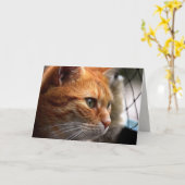 Life Sucks Aanmoediging dat ik hier voor je ben Kaart (Gele Bloem)