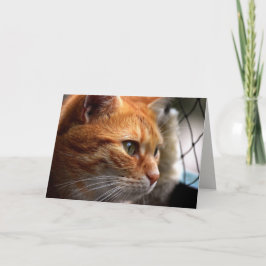 Life Sucks Aanmoediging dat ik hier voor je ben Kaart