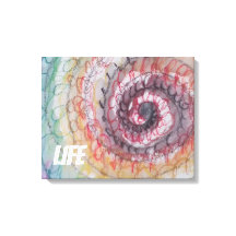 LIFE WALL ART PRINT VAN KUNSTENAAR PAULA REILLY.
