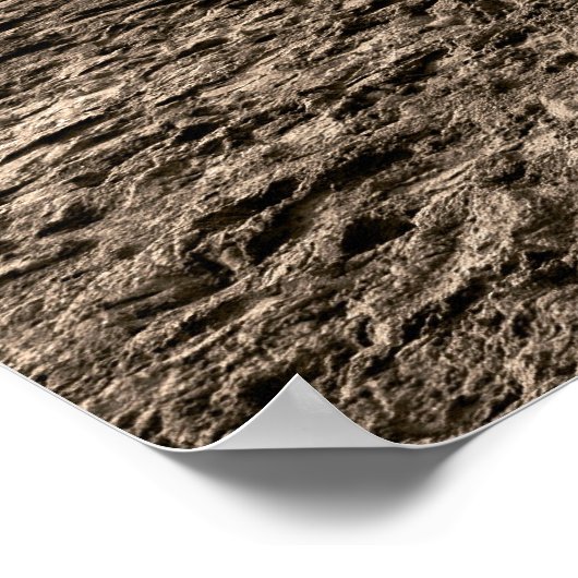 Lifeguard Tower # 16 Poster (Hoek)