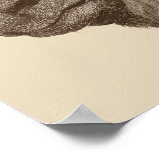 lifelike potloodtekening schattige ezel poster (Hoek)