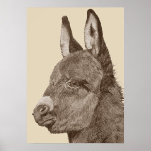 lifelike potloodtekening schattige ezel poster