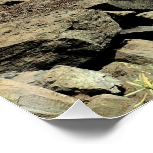 Life's path. Poster (Hoek)