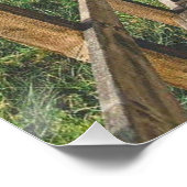 Life's path. Poster (Hoek)