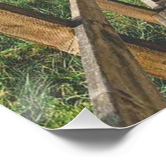 Life's path. Poster (Hoek)