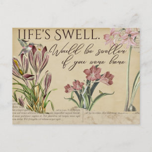 Life's Swell Hummingbird -Style Briefkaarten