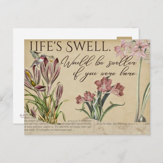 Life's Swell Hummingbird -Style Briefkaarten (Voorkant / Achterkant)