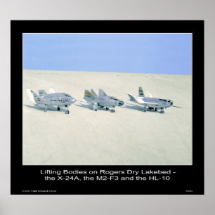 Liflichamen op Rogers Dry Lakebed Poster