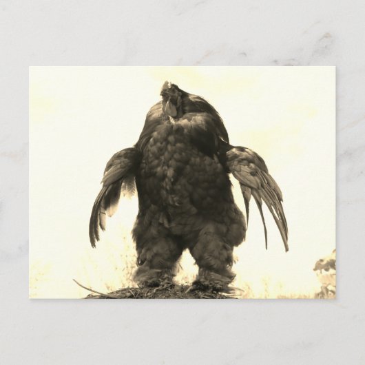 Lift je zelfs, Bro? - Briefkaart (Voorkant)