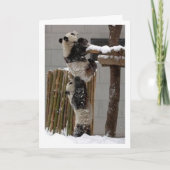 lift kaart (Voorkant)