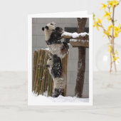 lift kaart (Gele Bloem)