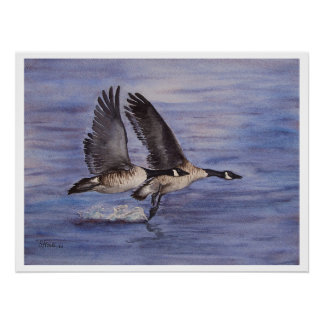 Lift Off - Canadese ganzen Perfect Poster