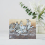 Lift off Sandhill Cranes Briefkaart (Staand voorkant)