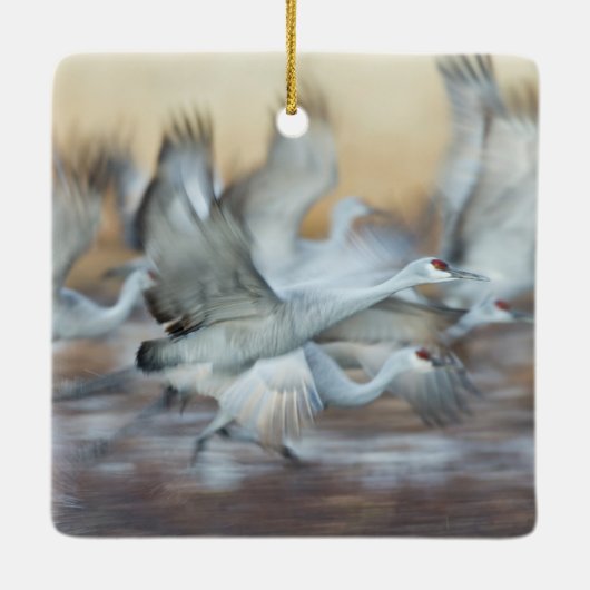 Lift off Sandhill Cranes Keramisch Ornament (Achterkant)