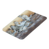 Lift off Sandhill Cranes Magneet (Linkerzijde)