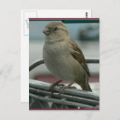 Lifted Love: Cart Bird Briefkaart (Voorkant / Achterkant)