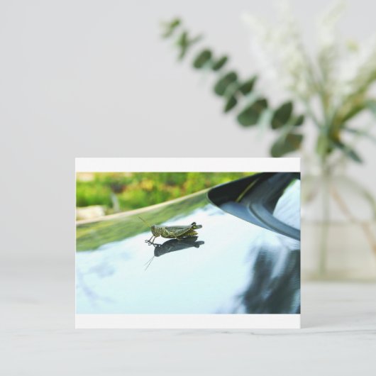 liften briefkaart (Staand voorkant)