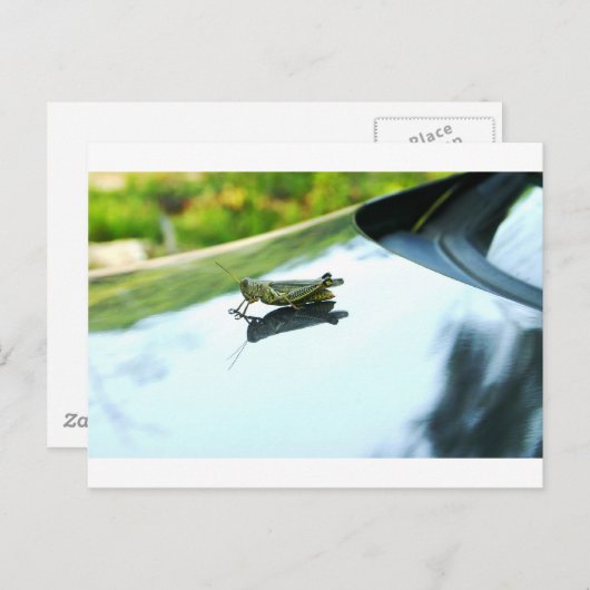 liften briefkaart (Voorkant / Achterkant)