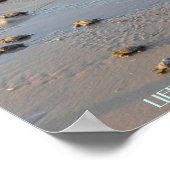 liften zeeen schildpadden poster (Hoek)