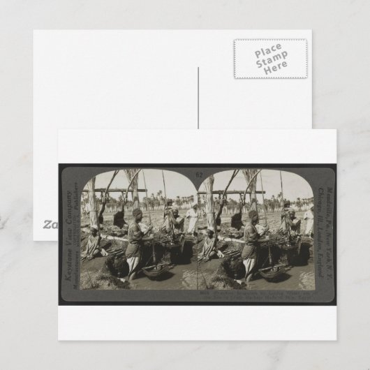 Lifting Water uit de Nijl in Egypte rond 1928 Briefkaart (Voorkant / Achterkant)