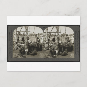 Lifting Water uit de Nijl in Egypte rond 1928 Briefkaart