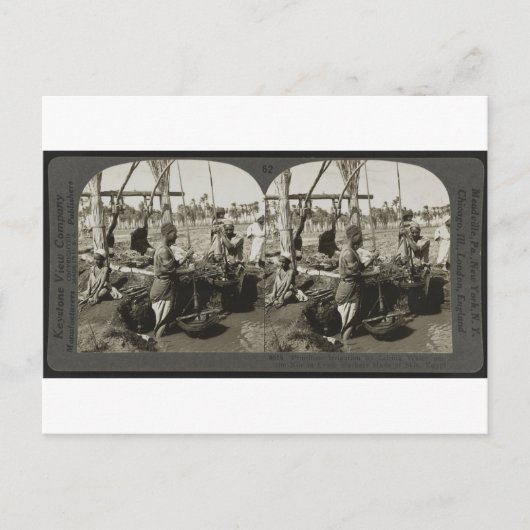 Lifting Water uit de Nijl in Egypte rond 1928 Briefkaart (Voorkant)