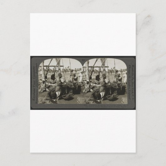 Lifting Water uit de Nijl in Egypte rond 1928 Briefkaart (Voorkant)