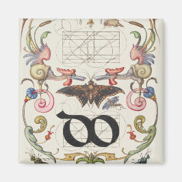 Ligature do van Mira Calligraphiae Monumenta Magneet