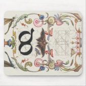 Ligature do van Mira Calligraphiae Monumenta Muismat (Voorkant)