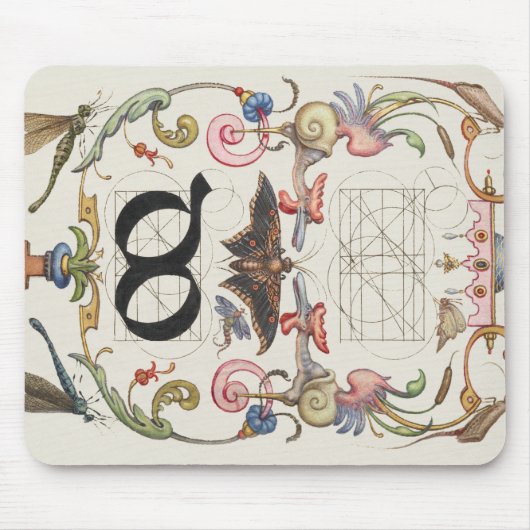 Ligature do van Mira Calligraphiae Monumenta Muismat (Voorkant)