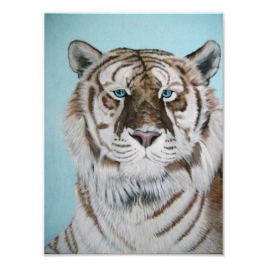 Liger Foto Afdruk (Voorkant)