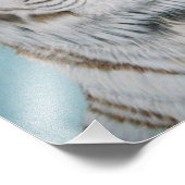 Liger Foto Afdruk (Hoek)