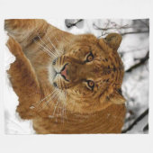 LIGER (LION & TIGER CROSS) FLEECE DEKEN (Voorkant (Horizontaal))