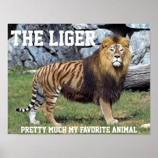 LIGER VEEL MIJN FAVORIETE DIERLIJKE POSTER (Voorkant)